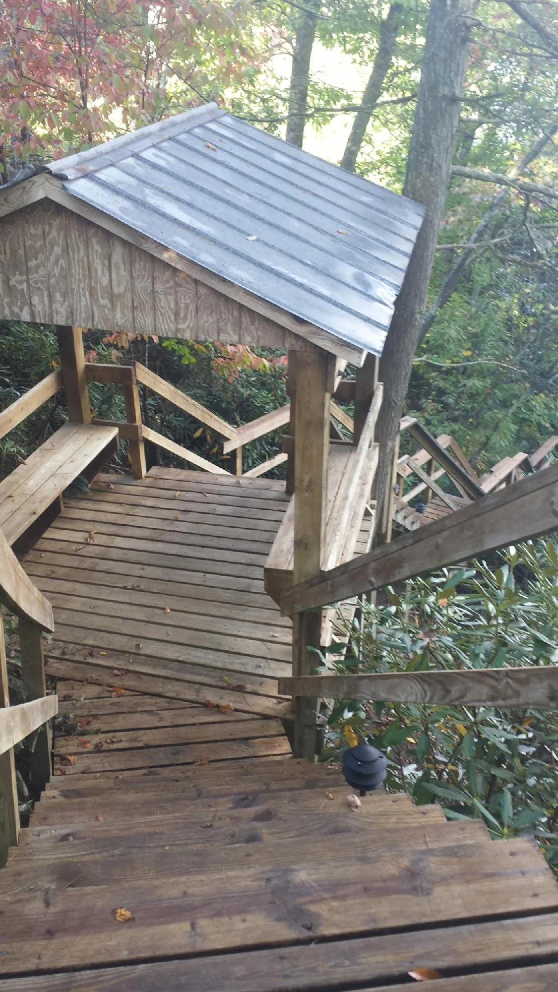 Metal roofed shelter over wooden steps on a wooded walkway — Skylight Repair & Installation work by our crew in Pisgah Forest